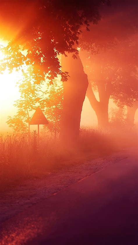 2160x3840 Sun Rays Mist Road 4k Sony Xperia Xxzz5 Premium Hd 4k