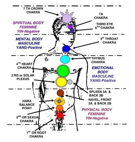 Energy Mastery The Ultimate Guide To Activating And Balancing Your Chakras Chakras In Human