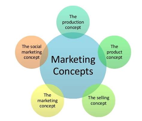 Marketing Concept Definition Examples And Quiz Business Terms