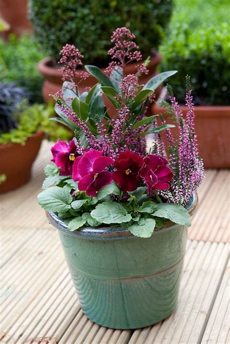 28 Beautiful Outdoor Winter Container Gardening Ideas With Images