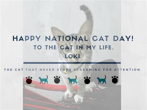 Happy National Cat Day Sheu Quen The Raconteur