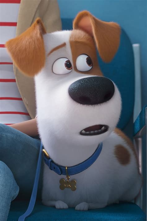 The Secret Life Of Pets 2 Official Clip Cat Lady Backup Trailers