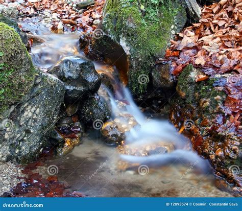 Brook In Autumn Forest Stock Photo Image Of Altitude 12093574