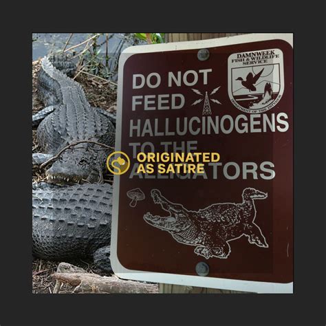 Is This A Real Dont Feed Hallucinogens To Alligators Sign