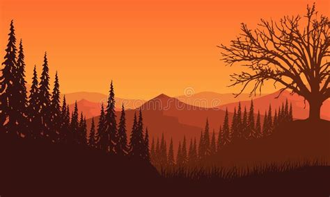 Amazing Views Of The Mountains With Tree Silhouettes From The