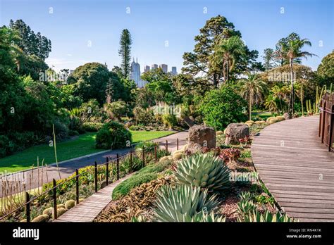 Royal Botanical Gardens Scenic View In Melbourne Victoria Australia