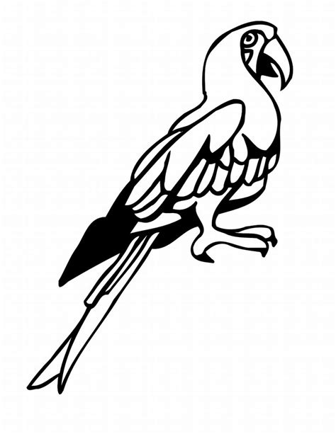 Tropical Bird Animal Coloring Pages