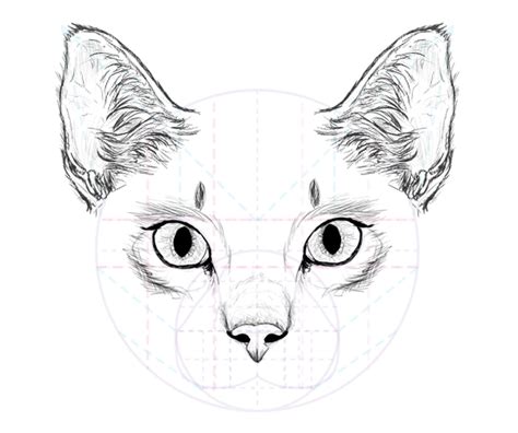Deke uses the new snap to glyph option in adobe illustrator 2021 to fill in the counters of a few o's with a relative ease that was previously hard. Cats rule the Internet! No doubt one day they'll take ...