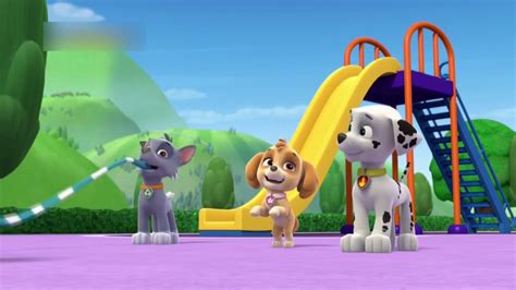 Paw Patrol Pups And The Kitty Tastrophe 🍓paw Patrol On A Roll