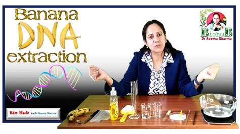 Extraction Of Dna From Plant Material Ripe Banana Fruit Class 12 Biology Practical Youtube
