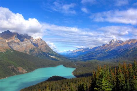 Green Lake Between Trees With Mountain Background Photo Free Canada