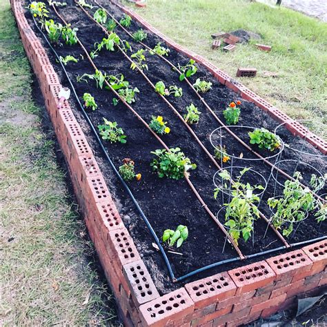 Built Raised Garden Bed With Irrigation System How Oftenlong Should I