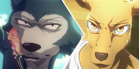 Where to buy postcards nearby: Beastars: 10 Things Most Fans Don't Know About The Making ...