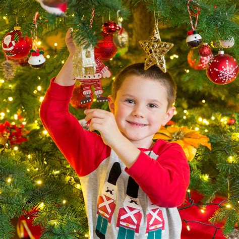 Boy And A Christmas Tree Free Stock Photo Public Domain Pictures