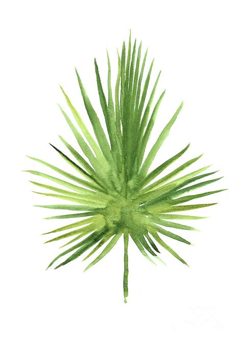 Fan Palm Leaf Tropical Tree Art Print Green Leaves