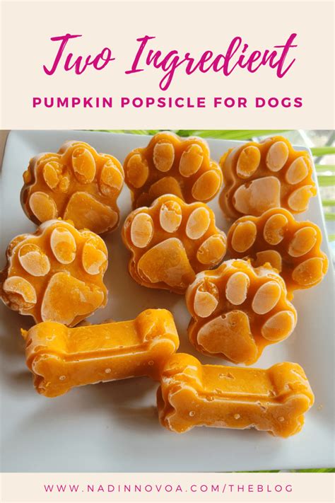 Two Ingredient Pumpkin Dog Treat Recipe Popsicle Nadin Novoa Llc