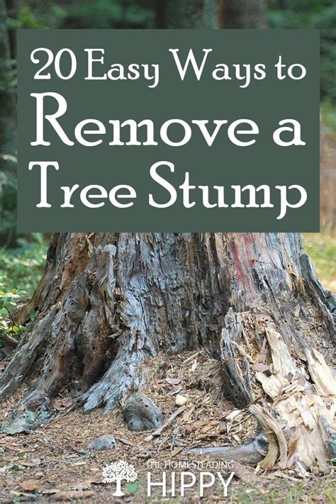 20 Easy Ways To Remove A Tree Stump The Homesteading Hippy Tree