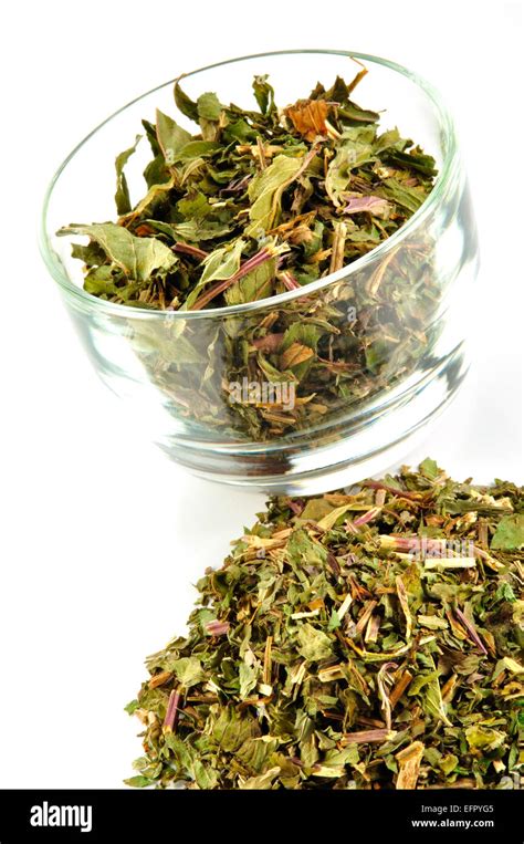 Dried Mint Leaf Stock Photo Alamy