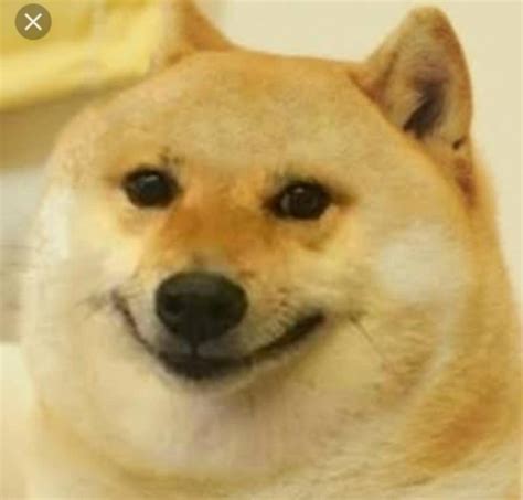 All Doge And Cheems Meme Templates Collection 20 Total