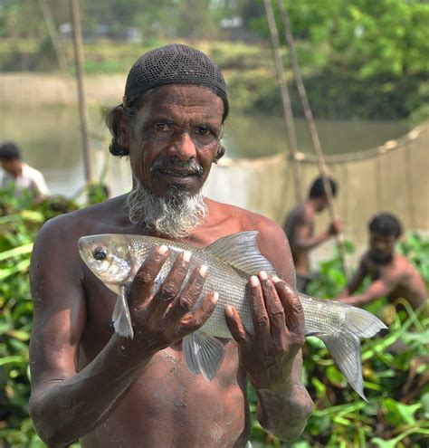 In Bangladesh People Are Eating More Fish But Getting Less Nutrition