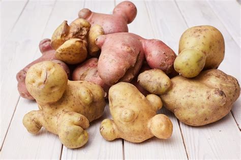 Premium Photo Ugly Organic Abnormal Vegetables Weird Potatoes