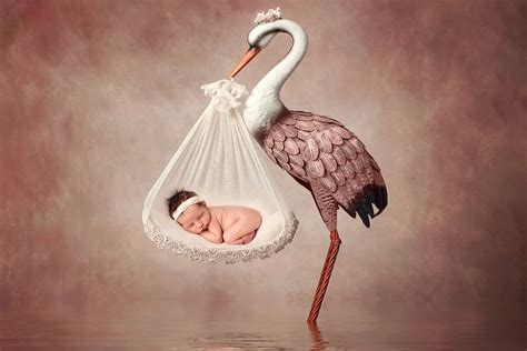 Stork And A Baby Digital Backdrop Of A Stork Holding A Baby Newborn