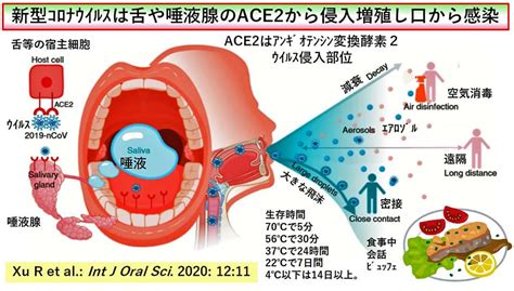 Jan 26, 2021 · 目次. 院長コラム「新型コロナウィルス対策に一番必要なもの ...