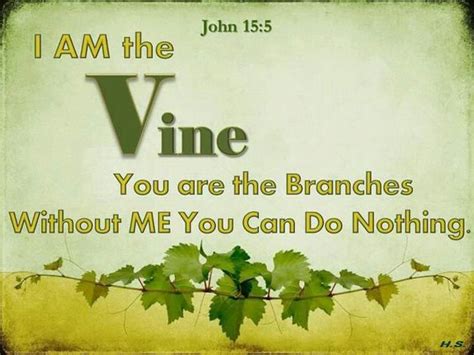 John 15 5 6 “i Am The Vine You Are The Branches He Who Abides In Me And I In Him Bears Much