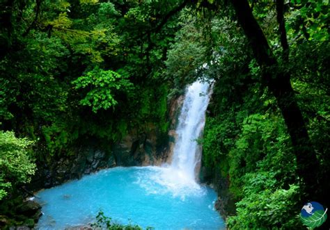 The Beauty Of The Rio Celeste Costa Rica In Tenorio National Park