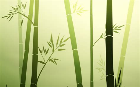 Bamboo HD Wallpaper E Sfondi