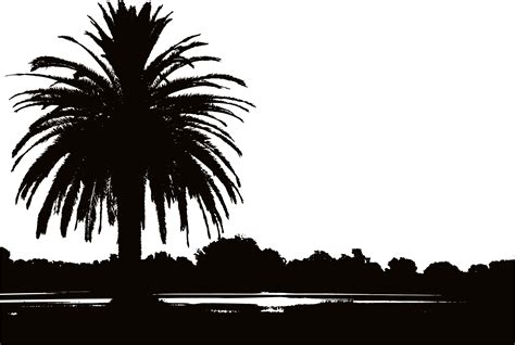Palm Tree Sunset Drawing At Explore Collection Of