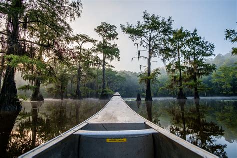 10 Enchanting East Texas State Parks To Visit Lone Star Travel Guide