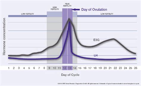 Ovulation Calendar 3 Months