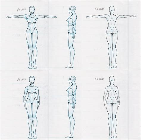 Character Reference Sheet Character Model Sheet Body Reference The Best Porn Website