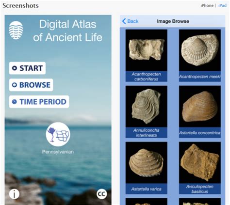 Digital Fossils There Is An App For That Idigbio