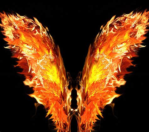 Wings Of Fire Wallpapers Top Free Wings Of Fire Backgrounds