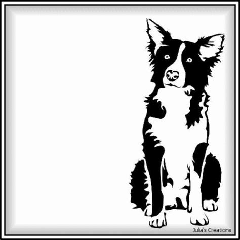 Everything You Need To Know About Dogs Border Collie S