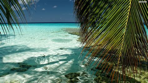 Tropical beach 1, beach wallpaper, travel, islands, ocean, exotic. Beach Wallpapers - HD Desktop Wallpapers | 4k HD