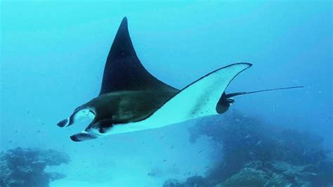 Something in Common: Sailing Taman Nasional Komodo Part 5 ...