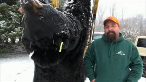 Record Breaking 772 Pound Bear Killed In Pennsylvania