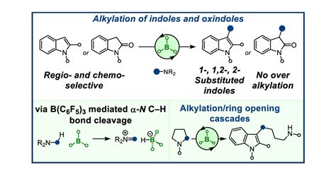 B C F Catalyzed Direct C Alkylation Of Indoles And Oxindoles Acs