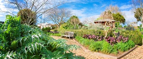 Herb Garden Auckland Botanic Gardens
