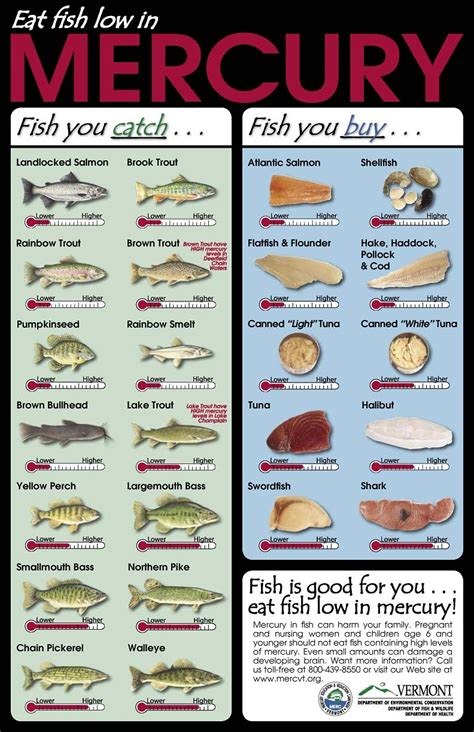 The Fisheries Blog Mercury In Fish What Should I Eat