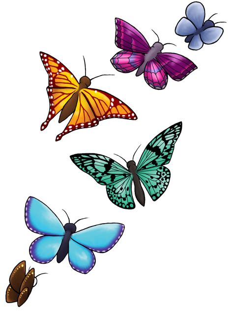 Butterfly Transparent Transparent Orange Butterfly Clipart Gallery