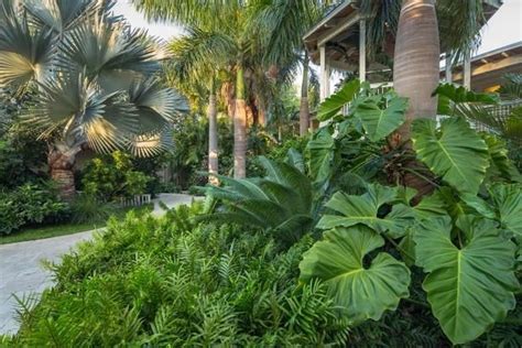 Awesome Tropical Garden Landscaping Ideas 50 Tropical