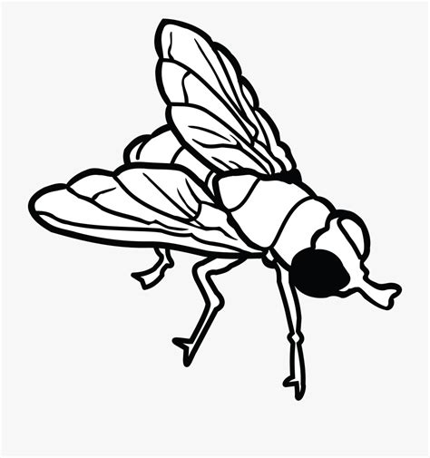 Old Black Fly Unit Study Sketch Coloring Page