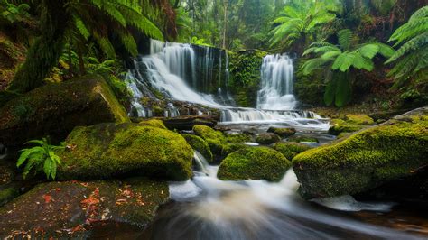 Tropical Forest Waterfall Hd Wallpaper Background Image 2048x1152
