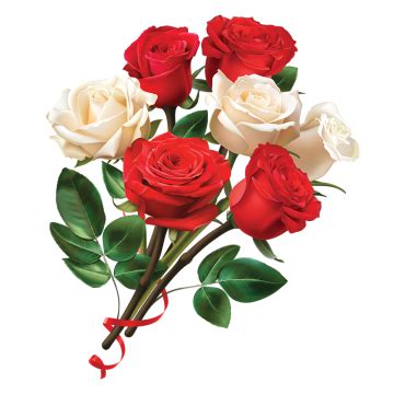 rose clipart,flower clipart,rose flower,red rose,white rose flower,red clipart,white clipart ...