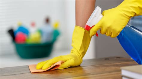 Cleaning Services In London Should You Hire Professional Cleaners