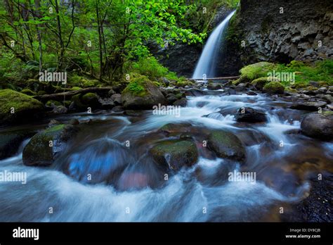 Upper Oneonta Falls In The Spring In The Columbia River Gorge Oregon
